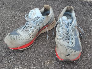 recension nike zoom fly