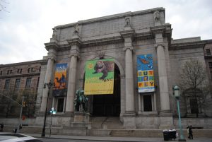 American Museum of Natural History new york