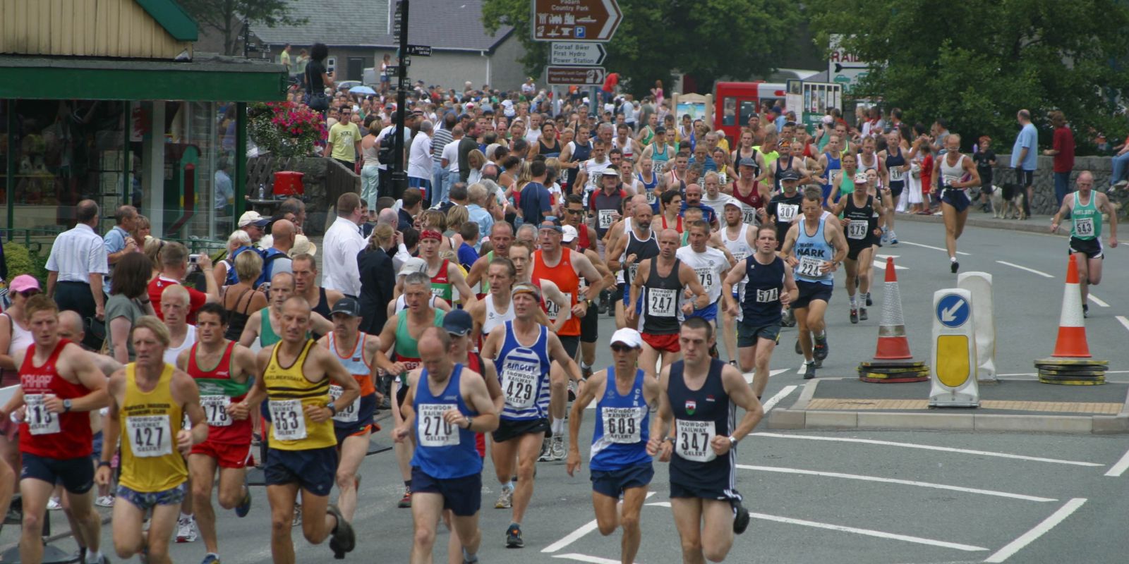 Marathon and Half Marathon Race Calendar 2023 and 2024