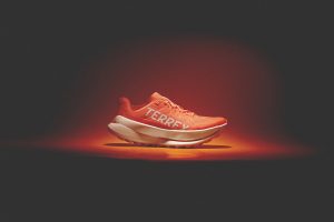 Adidas TERREX Agravic Speed Ultra info