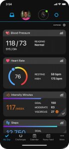 garmin blodtrycksmätare test
