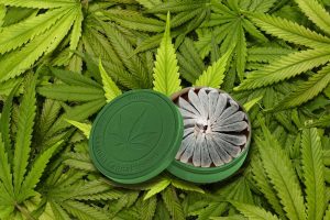 Utforska CBD Snus: Den Ultimata Guiden till Nikotinfri Njutning