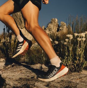 ADIDAS TERREX AGRAVIC SPEED trail running shoes