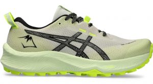 best asics trail running shoe