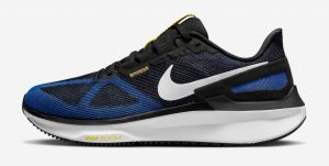 Best nike running shoe for pronation