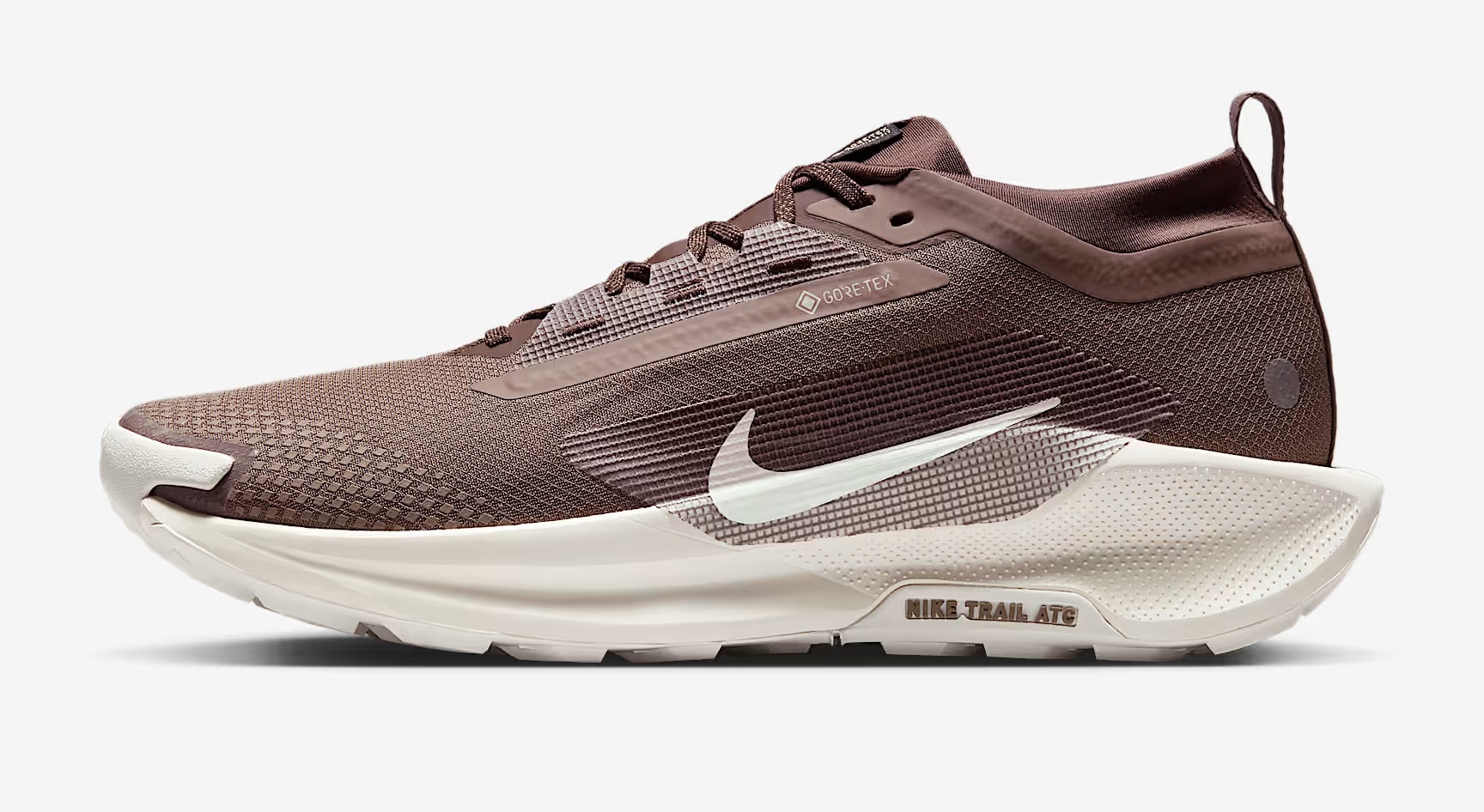 Nike Pegasus Trail 5 GTX