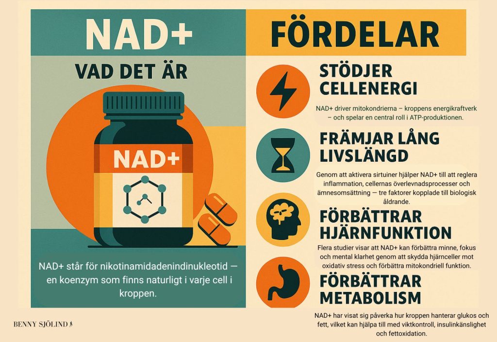 Vad är NAD+ och vilka är fördelarna infografik
