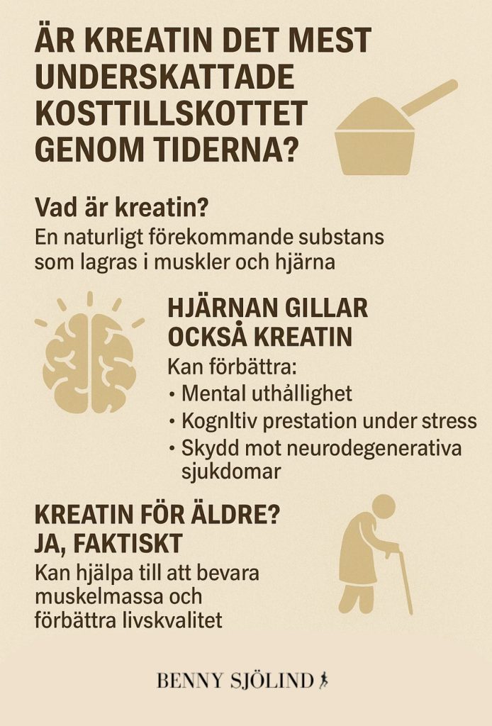 kreatin kosttillskott infografik