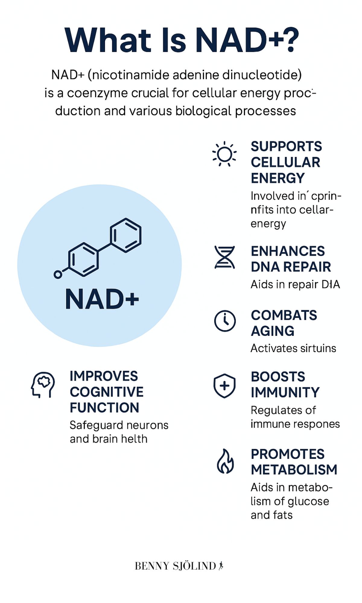 What is NAD+ infographic