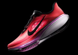 Nike Pegasus 42