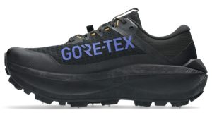 ASICS Fujisetsu Max GTX omdöme