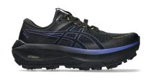 ASICS Fujisetsu Max GTX