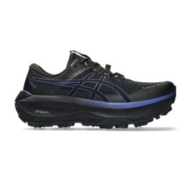ASICS Fujisetsu Max GTX
