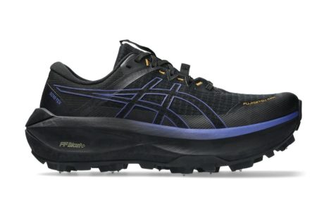 ASICS Fujisetsu Max GTX