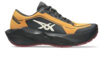 ASICS Novablast 6 GTX