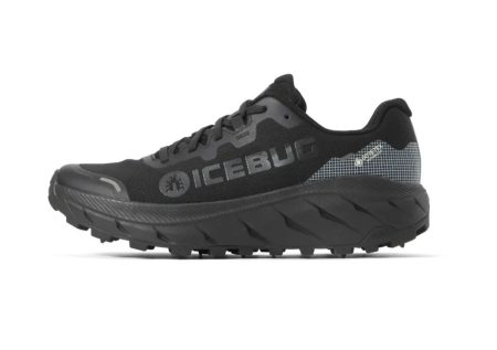 Icebug Arcus 2 BUGrip GTX