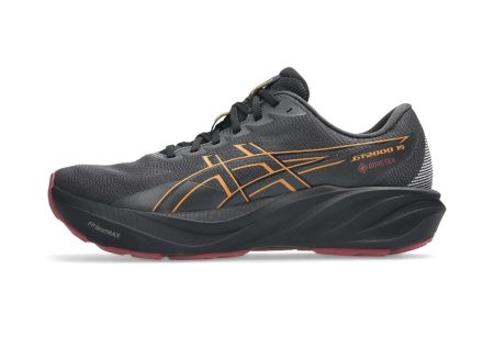 ASICS GT-2000 15 GTX