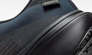 Nike Pegasus 42 GTX omdöme