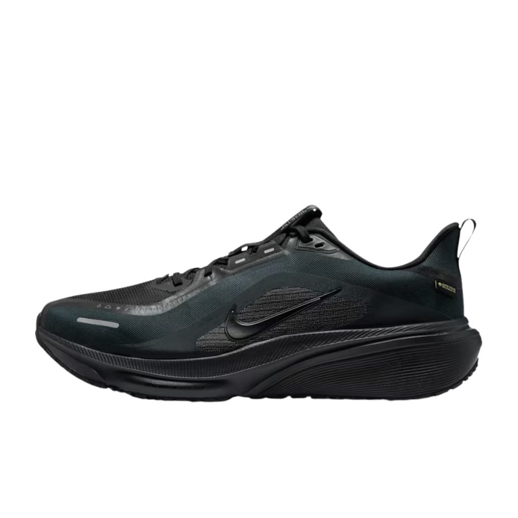 Nike Pegasus 42 GTX recension