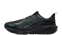 Nike Pegasus 42 GTX