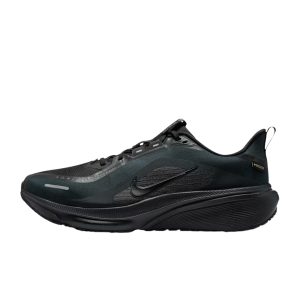 Nike Pegasus 42 GTX recension