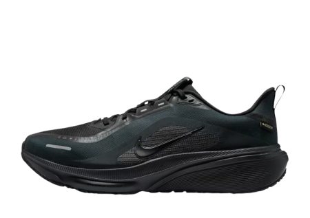 Nike Pegasus 42 GTX